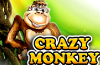 Crazy Monkey